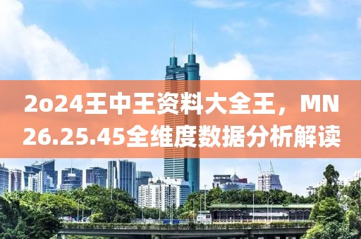 2o24王中王资料大全王，MN26.25.45全维度数据分析解读
