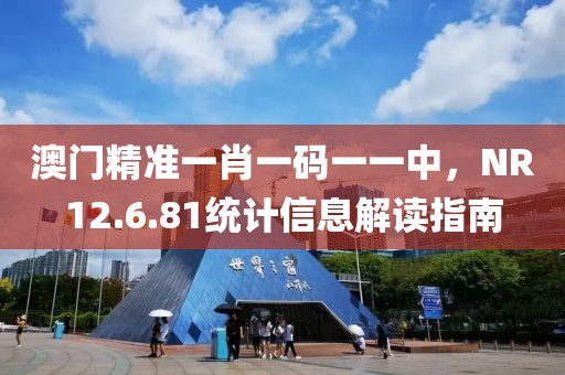 澳门精准一肖一码一一中，NR12.6.81统计信息解读指南