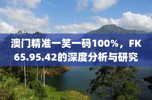 澳门精准一笑一码100%，FK65.95.42的深度分析与研究