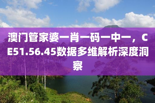 澳门管家婆一肖一码一中一，CE51.56.45数据多维解析深度洞察