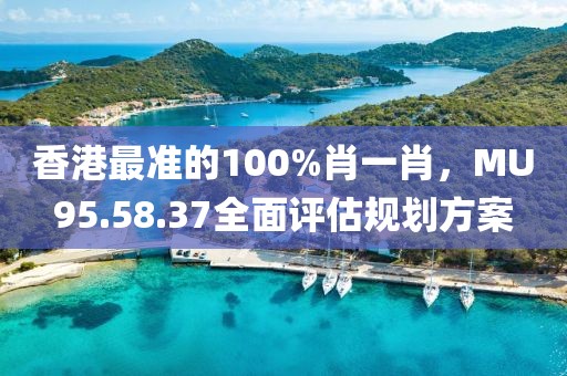香港最准的100%肖一肖，MU95.58.37全面评估规划方案