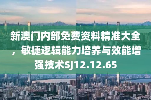 新澳门内部免费资料精准大全，敏捷逻辑能力培养与效能增强技术SJ12.12.65