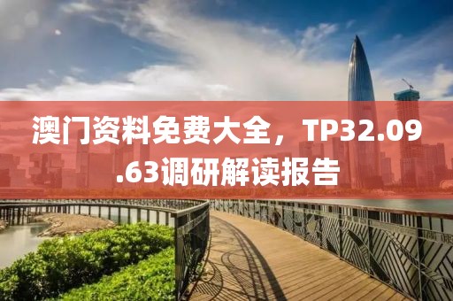 澳门资料免费大全，TP32.09.63调研解读报告