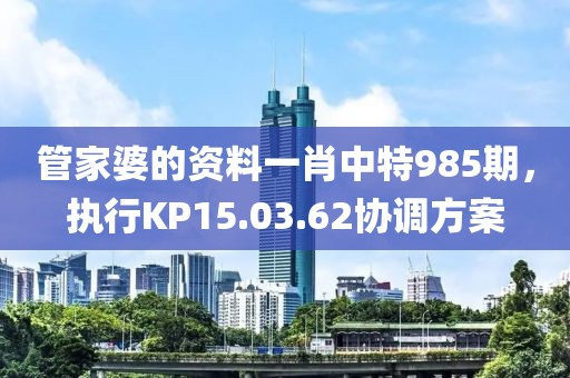 管家婆的资料一肖中特985期，执行KP15.03.62协调方案