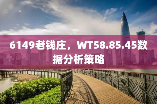 6149老钱庄，WT58.85.45数据分析策略