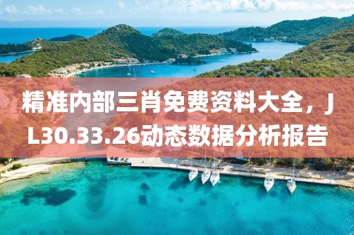 精准内部三肖免费资料大全，JL30.33.26动态数据分析报告
