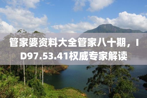 管家婆资料大全管家八十期，ID97.53.41权威专家解读