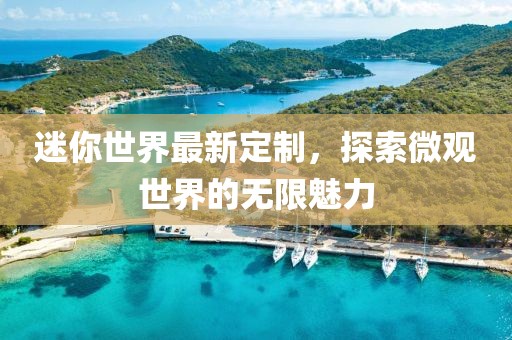 迷你世界最新定制，探索微观世界的无限魅力