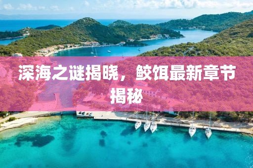 深海之谜揭晓，鲛饵最新章节揭秘