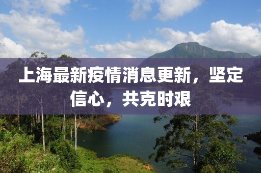 上海最新疫情消息更新，坚定信心，共克时艰