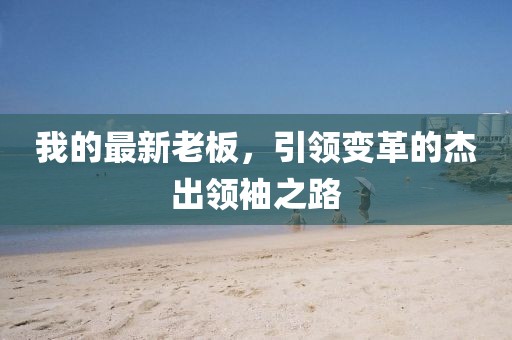 我的最新老板，引领变革的杰出领袖之路