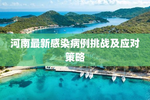 河南最新感染病例挑战及应对策略