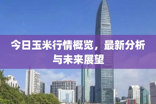 今日玉米行情概览，最新分析与未来展望