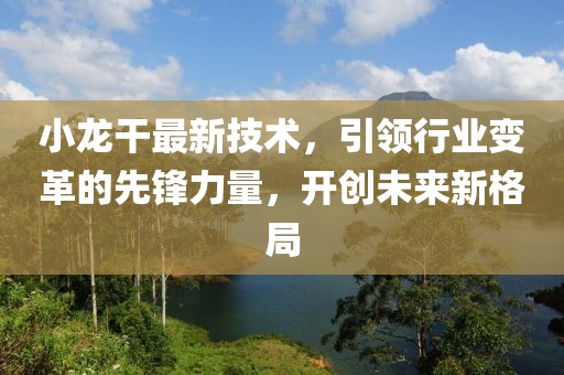 小龙干最新技术，引领行业变革的先锋力量，开创未来新格局