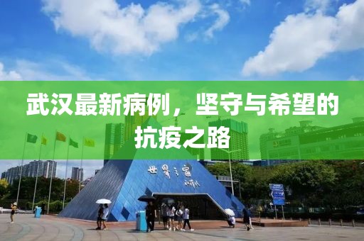 武汉最新病例，坚守与希望的抗疫之路