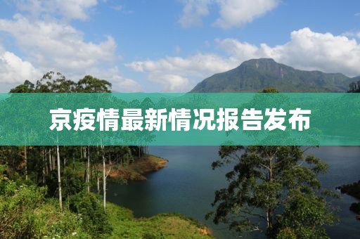 京疫情最新情况报告发布