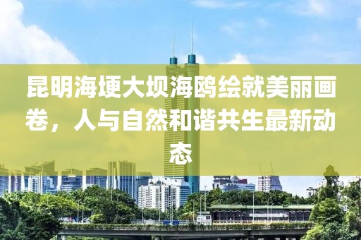 昆明海埂大坝海鸥绘就美丽画卷，人与自然和谐共生最新动态