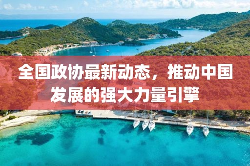 全国政协最新动态，推动中国发展的强大力量引擎