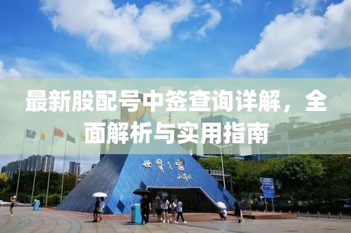 最新股配号中签查询详解，全面解析与实用指南
