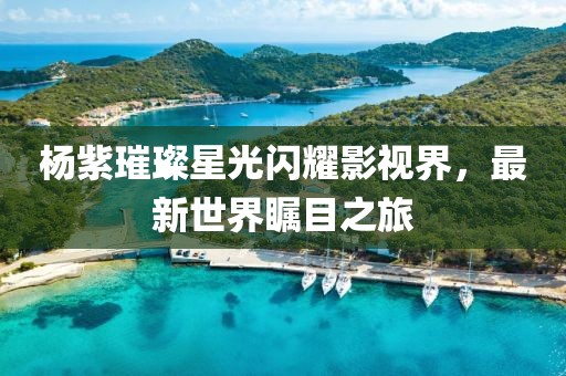 杨紫璀璨星光闪耀影视界，最新世界瞩目之旅