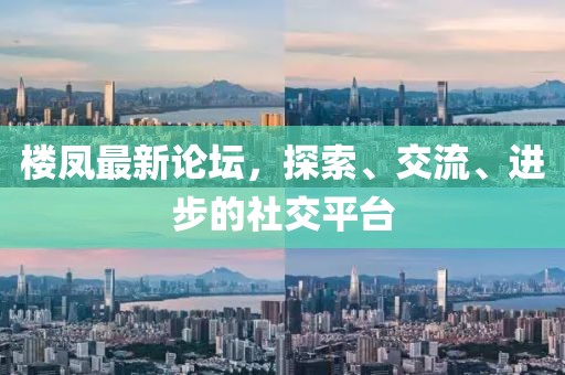 楼凤最新论坛，探索、交流、进步的社交平台
