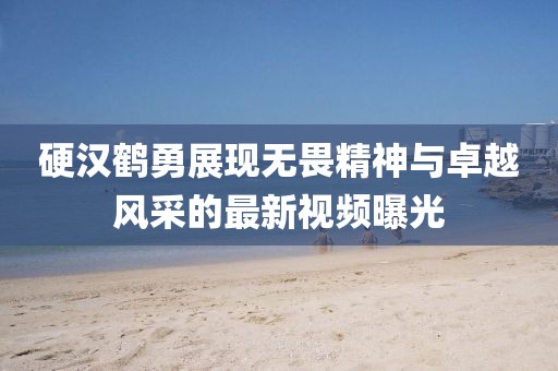 硬汉鹤勇展现无畏精神与卓越风采的最新视频曝光