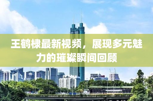 王鹤棣最新视频，展现多元魅力的璀璨瞬间回顾