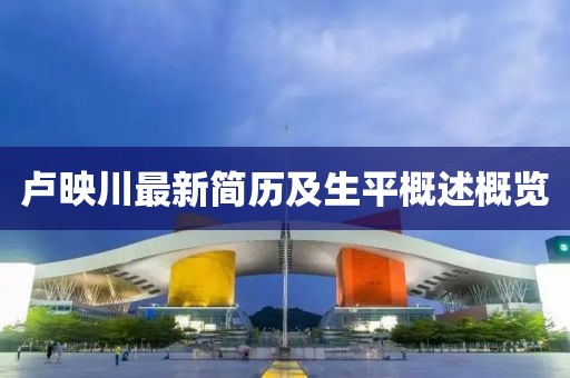 卢映川最新简历及生平概述概览