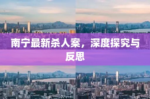 南宁最新杀人案，深度探究与反思