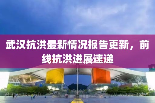 武汉抗洪最新情况报告更新，前线抗洪进展速递