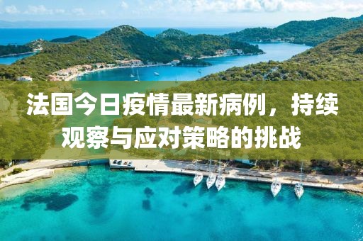 法国今日疫情最新病例，持续观察与应对策略的挑战