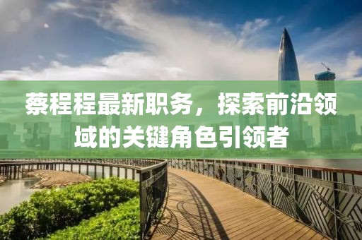蔡程程最新职务，探索前沿领域的关键角色引领者