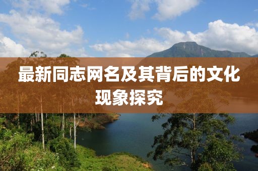 最新同志网名及其背后的文化现象探究