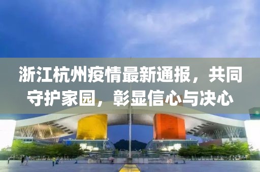 浙江杭州疫情最新通报，共同守护家园，彰显信心与决心
