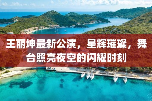 王丽坤最新公演，星辉璀璨，舞台照亮夜空的闪耀时刻