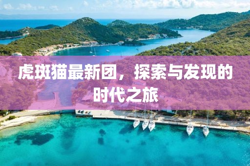 虎斑猫最新团，探索与发现的时代之旅