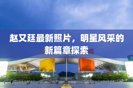 赵又廷最新照片，明星风采的新篇章探索