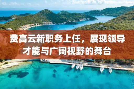 费高云新职务上任，展现领导才能与广阔视野的舞台