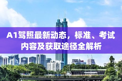 A1驾照最新动态，标准、考试内容及获取途径全解析