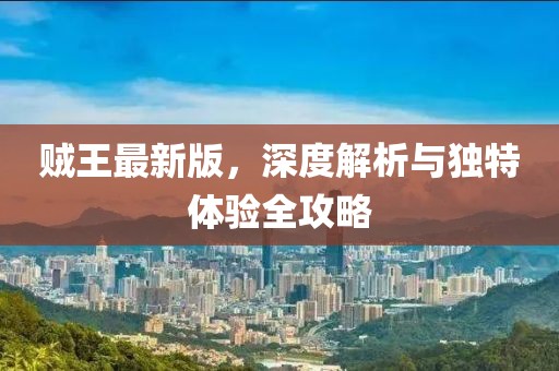 贼王最新版，深度解析与独特体验全攻略