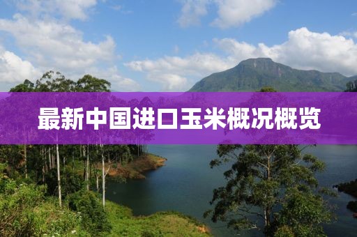 最新中国进口玉米概况概览