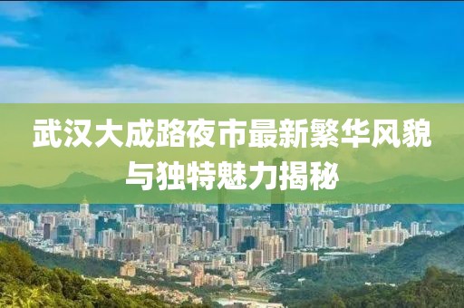 武汉大成路夜市最新繁华风貌与独特魅力揭秘