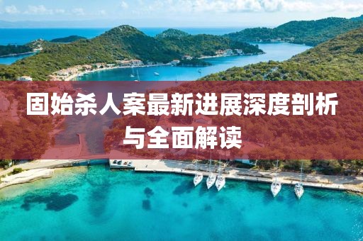 固始杀人案最新进展深度剖析与全面解读