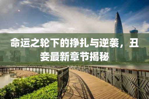 命运之轮下的挣扎与逆袭，丑妾最新章节揭秘
