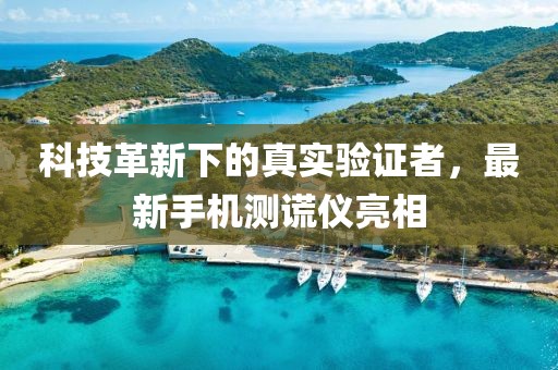 科技革新下的真实验证者，最新手机测谎仪亮相