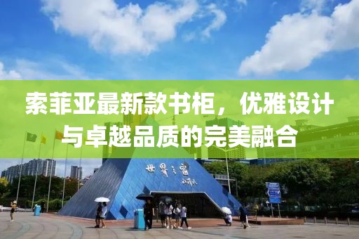 索菲亚最新款书柜，优雅设计与卓越品质的完美融合