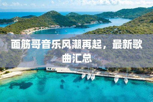 面筋哥音乐风潮再起，最新歌曲汇总