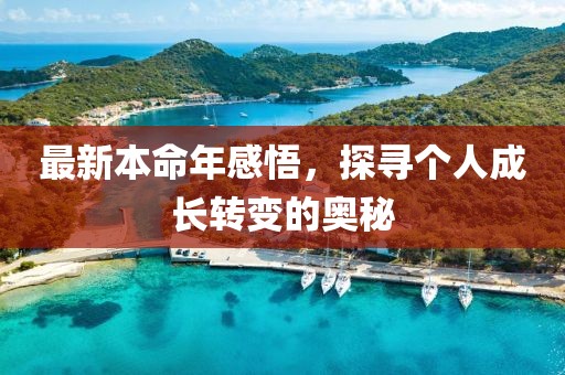 最新本命年感悟，探寻个人成长转变的奥秘
