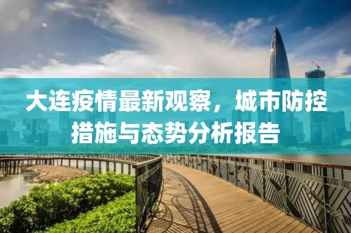 大连疫情最新观察，城市防控措施与态势分析报告