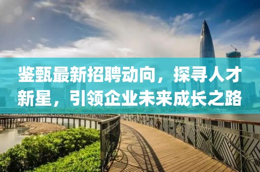 鉴甄最新招聘动向，探寻人才新星，引领企业未来成长之路